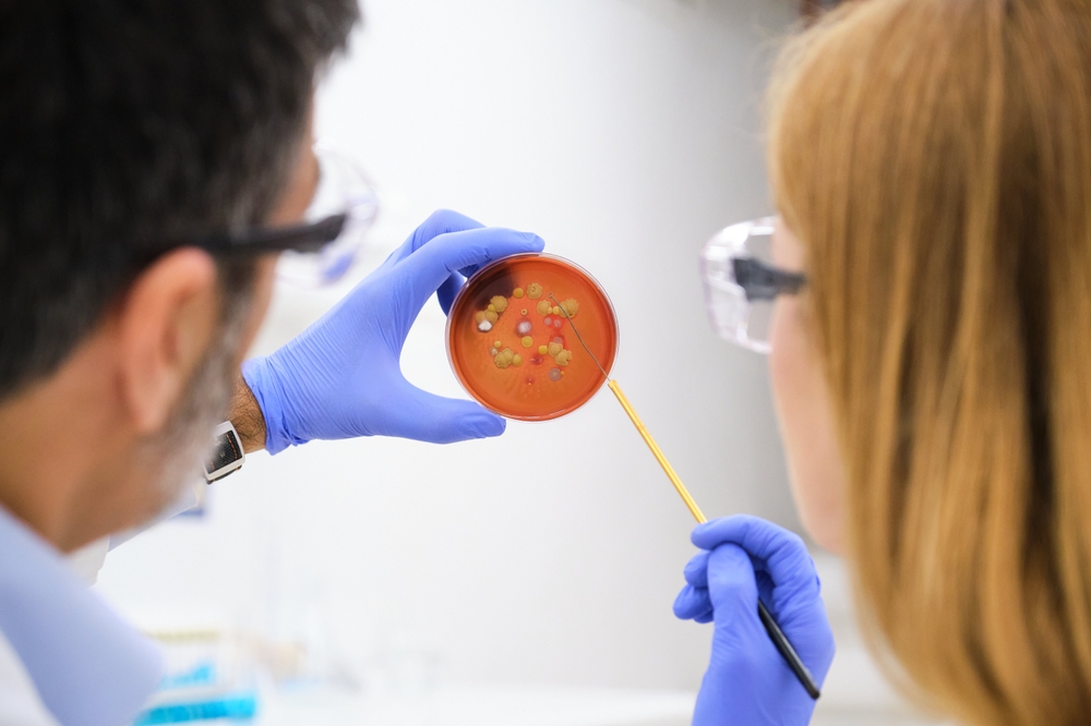 Microbilologie clinique 1000x667px